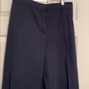 Talbots Blue Cotton Pants 24W
